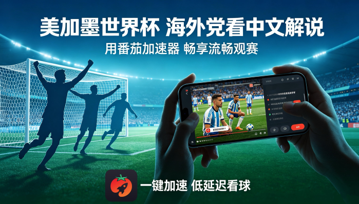 在加拿大看世界杯直播当前IP受限制教程