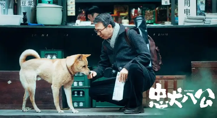 优酷在国外看不了有什么办法解决图解